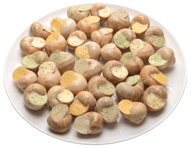 assorti